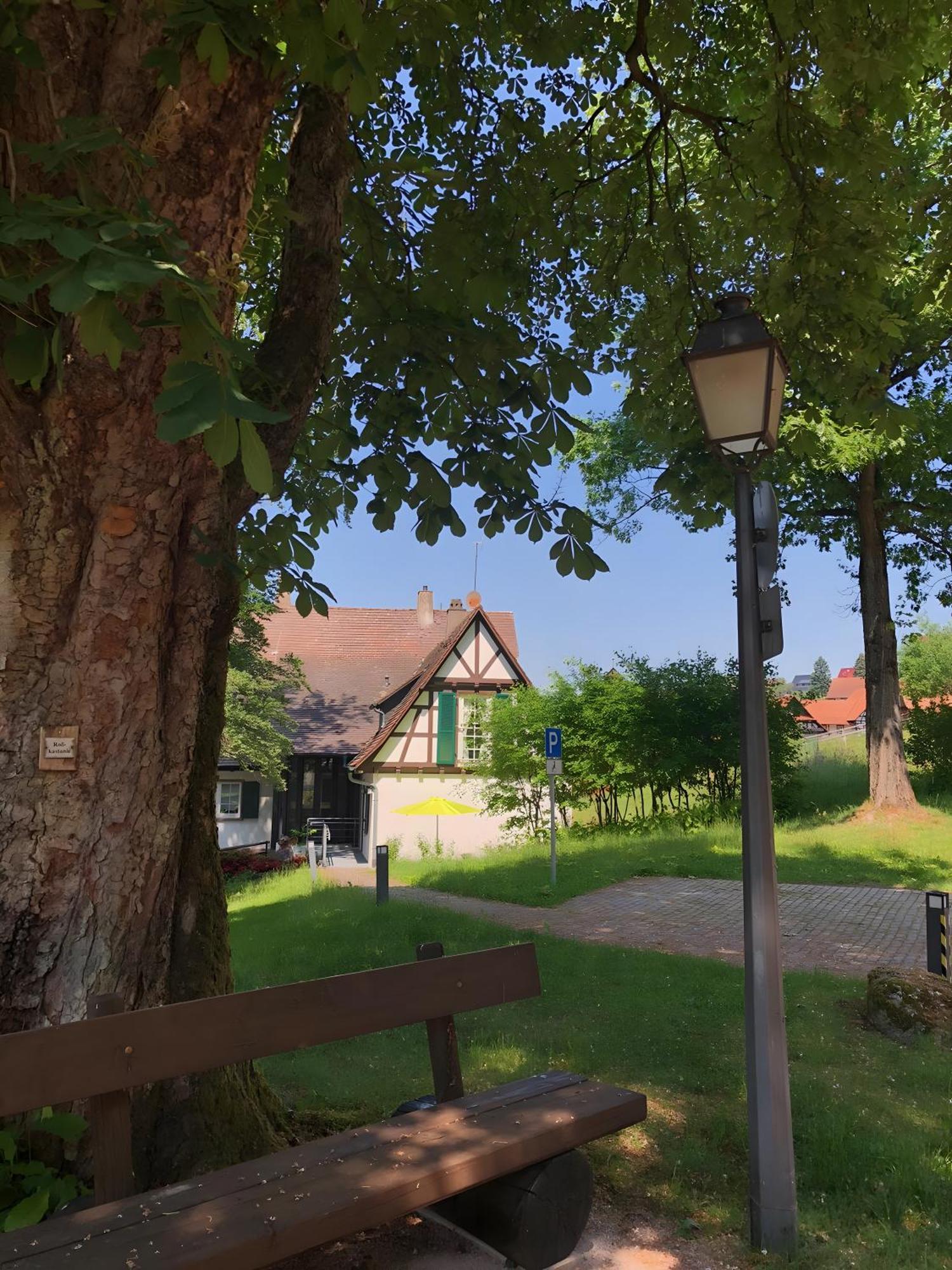 Ferienwohnung Am Keschtebaum, 70Qm Sasbachwalden Zewnętrze zdjęcie
