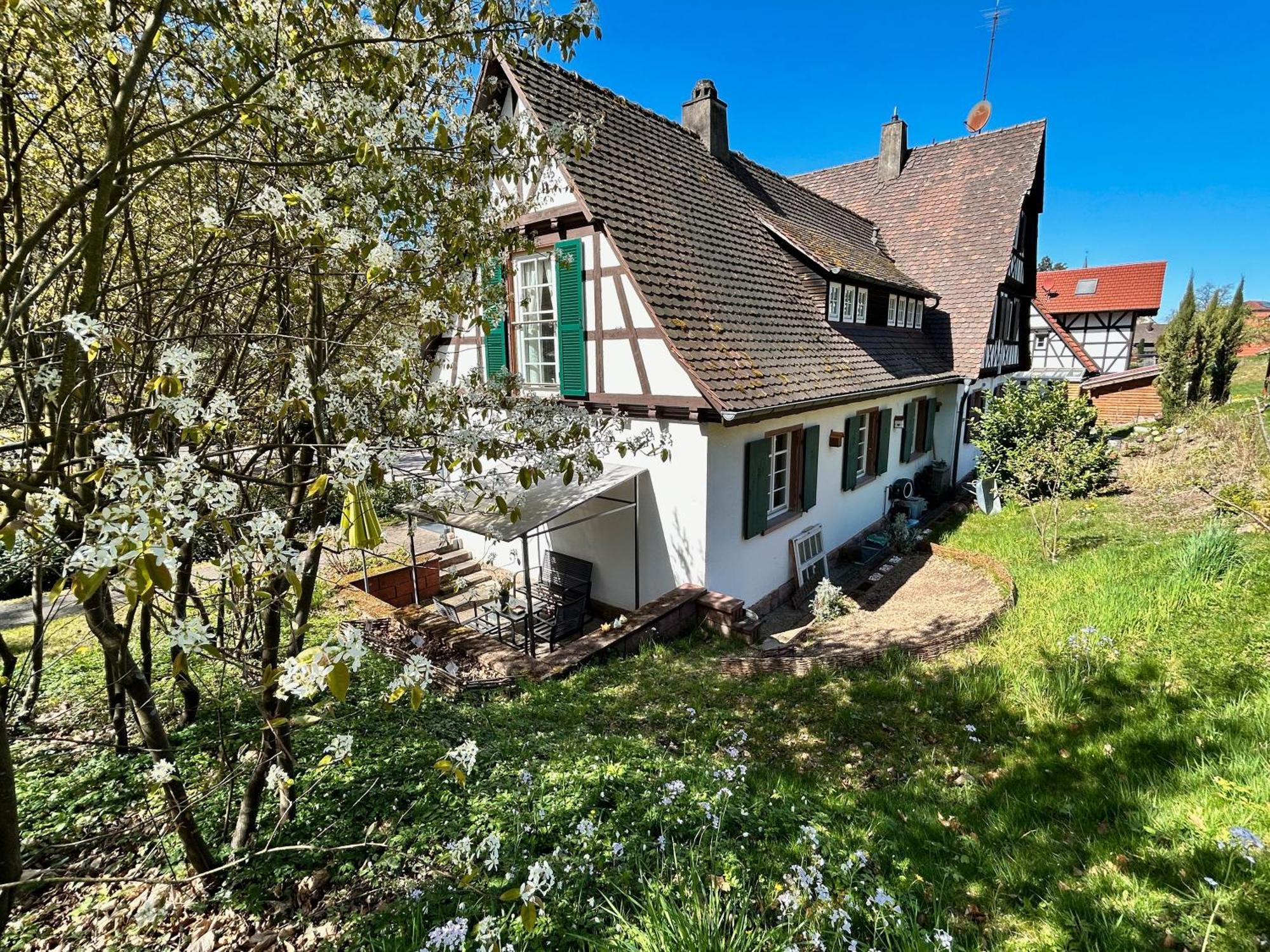 Ferienwohnung Am Keschtebaum, 70Qm Sasbachwalden Zewnętrze zdjęcie